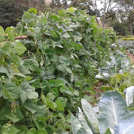 Hotel Fazenda Serraverde Pouso Alto Εξωτερικό φωτογραφία