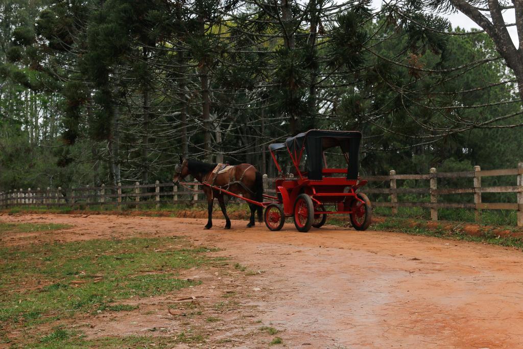 Hotel Fazenda Serraverde Pouso Alto Εξωτερικό φωτογραφία